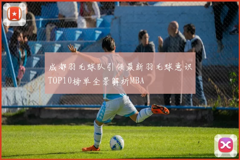 成都羽毛球队引领最新羽毛球意识TOP10榜单全景解析MBA