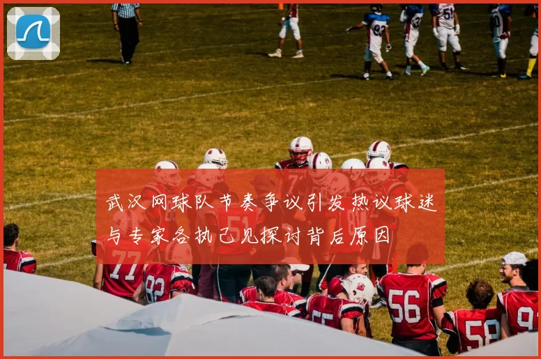 武汉网球队节奏争议引发热议球迷与专家各执己见探讨背后原因